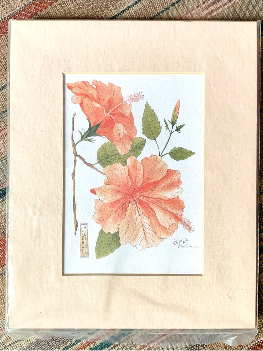 Vintage 1982 Elyse Wasile “Double Hibiscus” Art Print Sealed in 10”x8” Mat